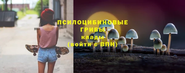 mdma Новодвинск