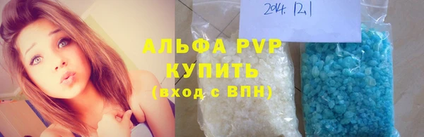 дживик Новозыбков