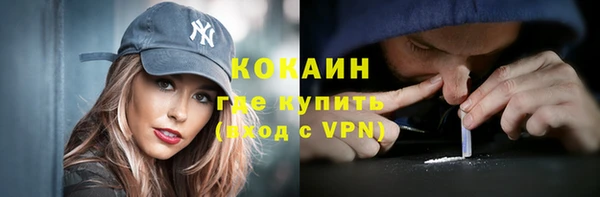 дживик Новозыбков