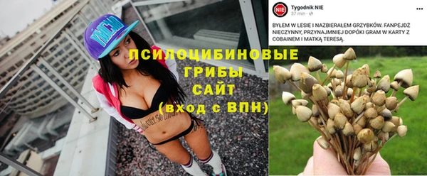 альфа пвп Зеленодольск