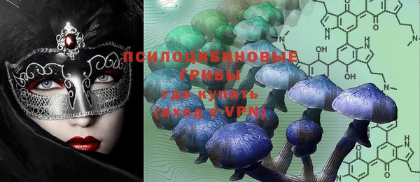 дживик Новозыбков