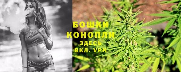 mdma Новодвинск
