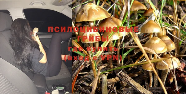 круглые Нягань