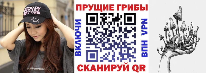 закладка  Кудымкар  Псилоцибиновые грибы мухоморы 